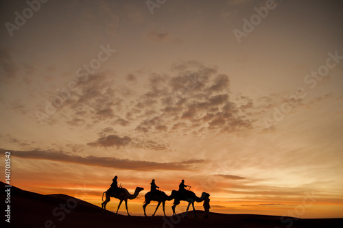 Siluetas de camellos en el desierto