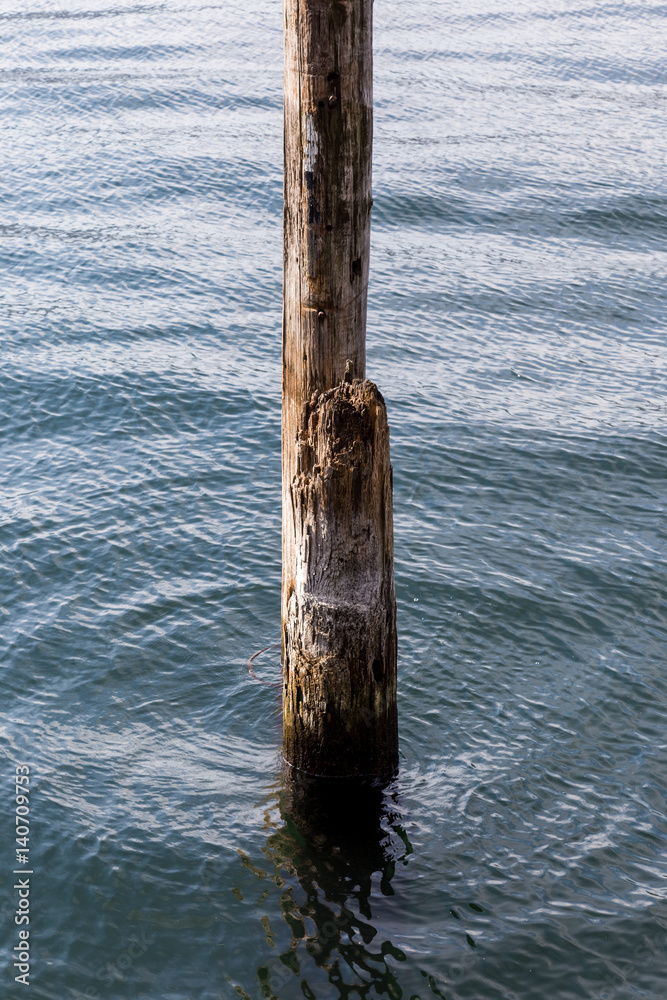Lonely wooden pillar in a lake with reflection Lonely wooden pillar in a lake with reflection