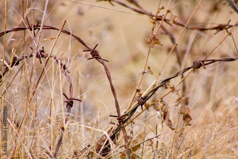Remembering the army - the barbed wire. Remembering the army - the barbed wire.
