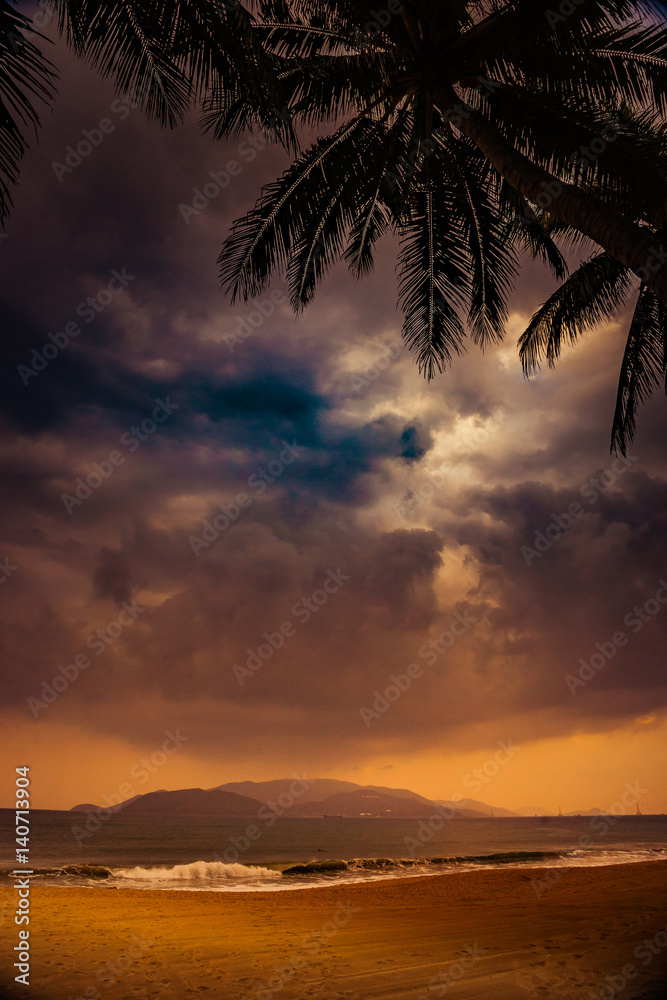 Silhouette of palm tree at beautiful tropical sunset.