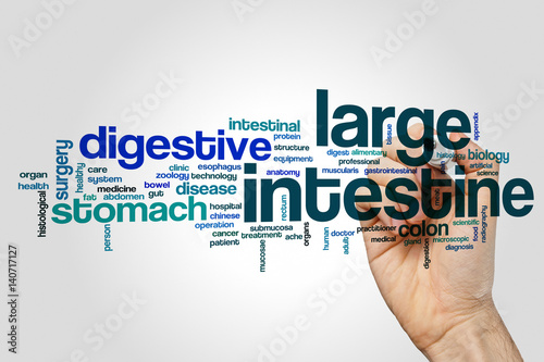 Large intestine word cloud