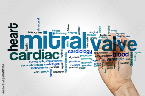 Mitral valve word cloud concept photo