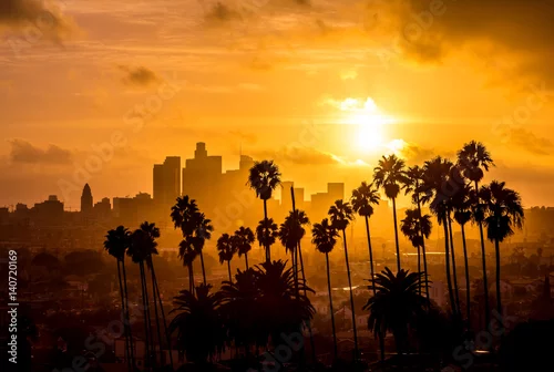 Obraz Los Angeles i Palm Tree Sunset