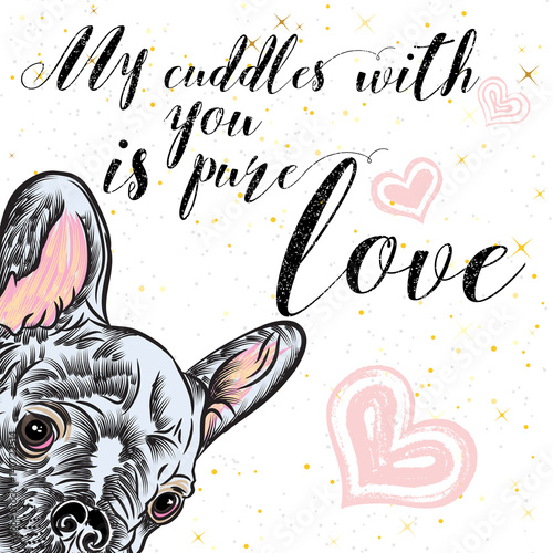 Girl French Bulldog illustration print in golden sparkles. Cute fashionable dog vector sketch. My cuddles with you is pure love postcard. Hand drawn positive background with gold glitter and stars.