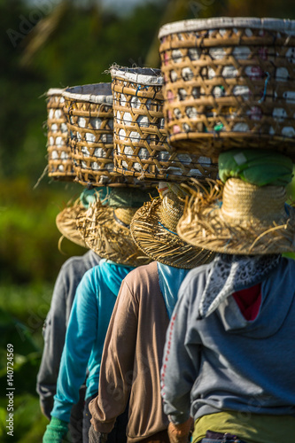 Farm workers in Asia balancing baskets on their heads