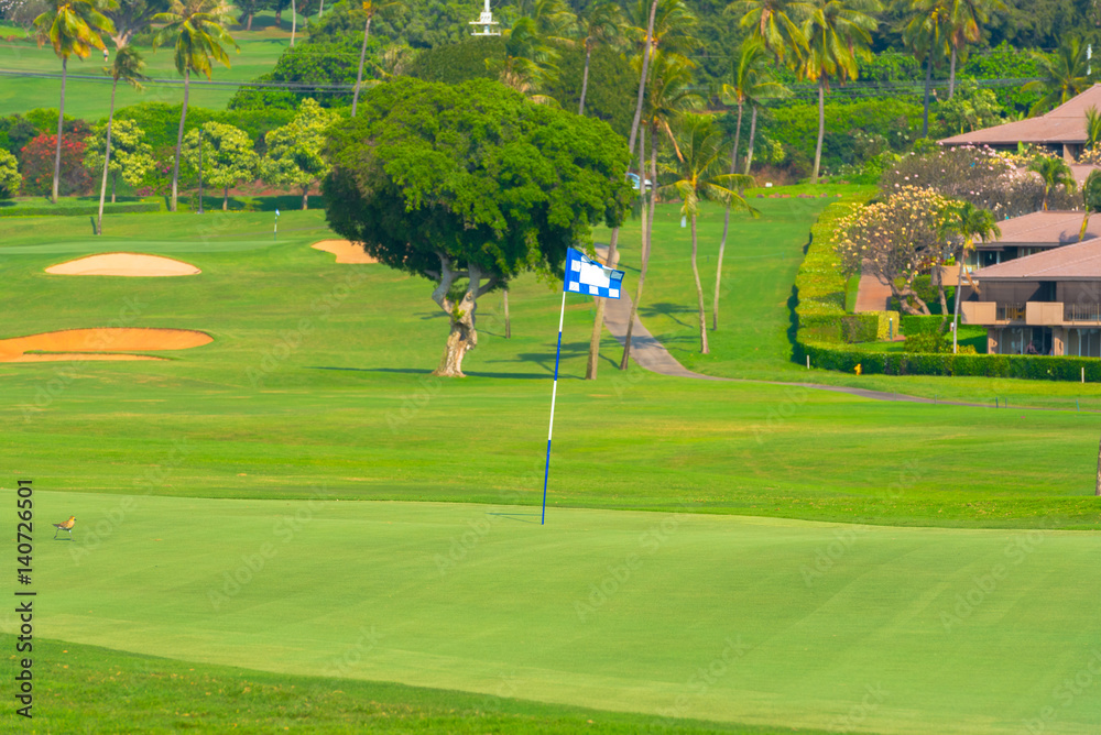 Obraz premium On the Green