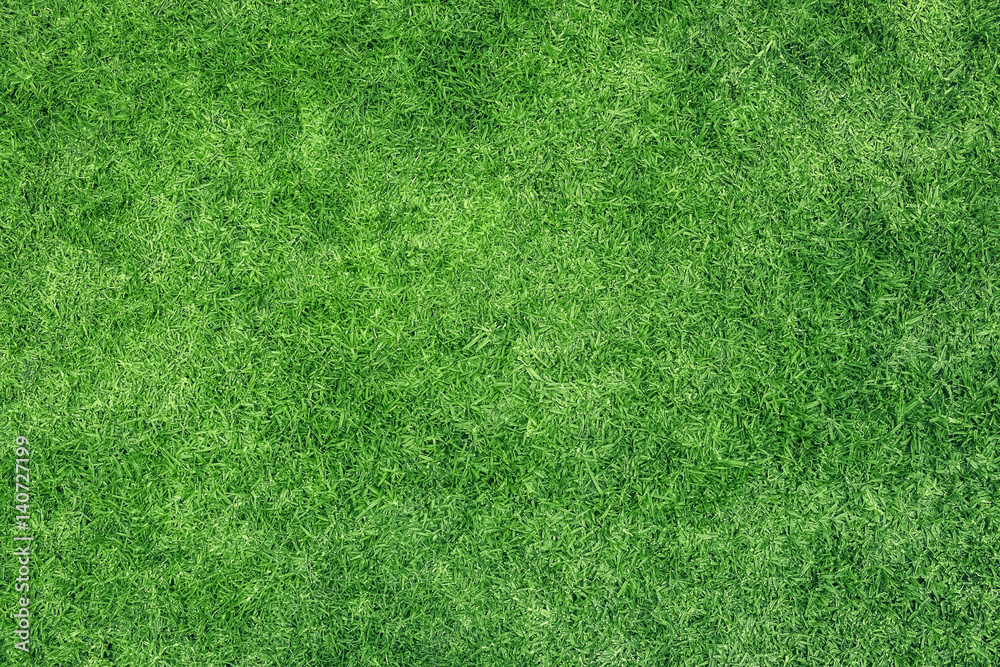 Green grass texture - obrazy, fototapety, plakaty 