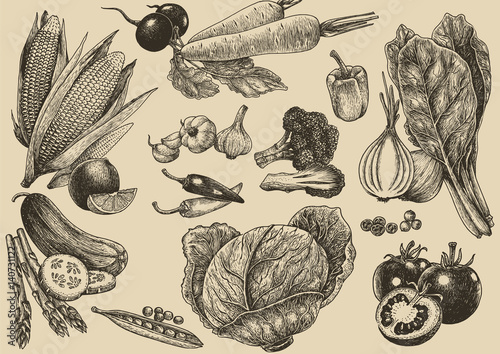 Vegetable vector set hand drawing.Healthy fresh food.