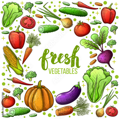 Colorful sketch style set of vegetables icons. Eco organic fresh template with vegetables for the decoration of menu. Vector.