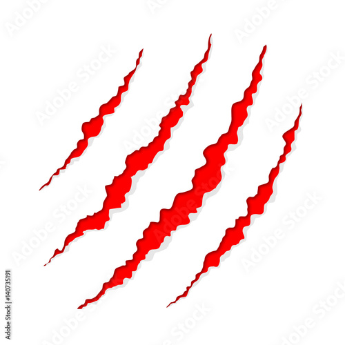 Claw scratch on white background, a vector illustration.