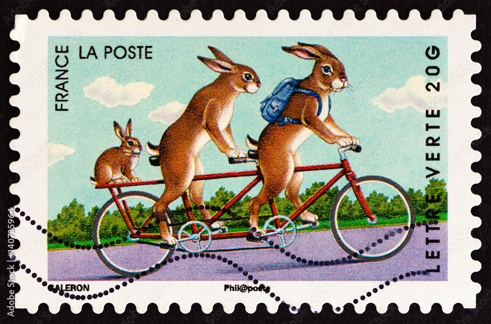 Naklejka premium Rabbits on tandem (France 2014)