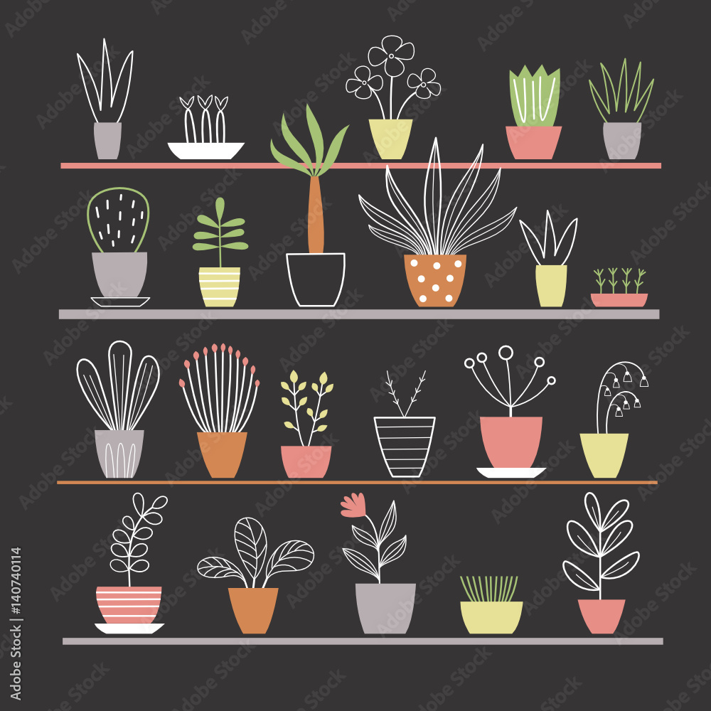 flowers in vases. Vector collection flowers in vases. Vector collection