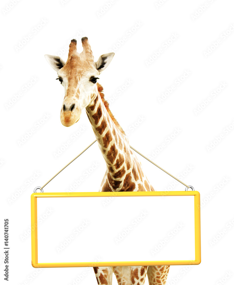 Obraz premium Giraffe with signboard