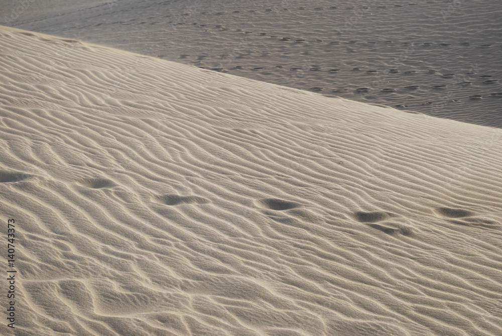 Sand dunes of the Maspalomas desert, Gran Canaria, Spain. Sand dunes of the Maspalomas desert, Gran Canaria, Spain.