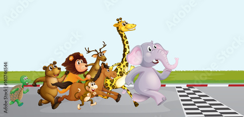 Wild animals running on the road