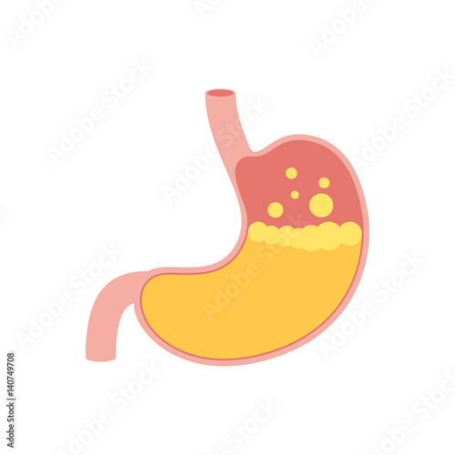 Human stomach icon