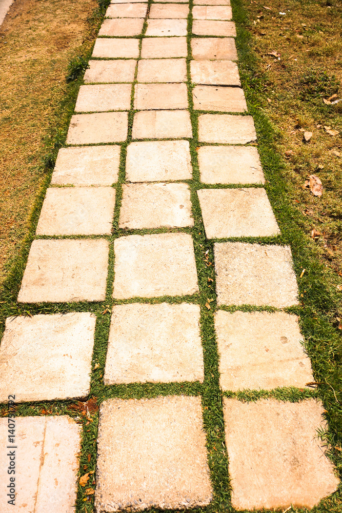 The Stone block walk path with green grass
