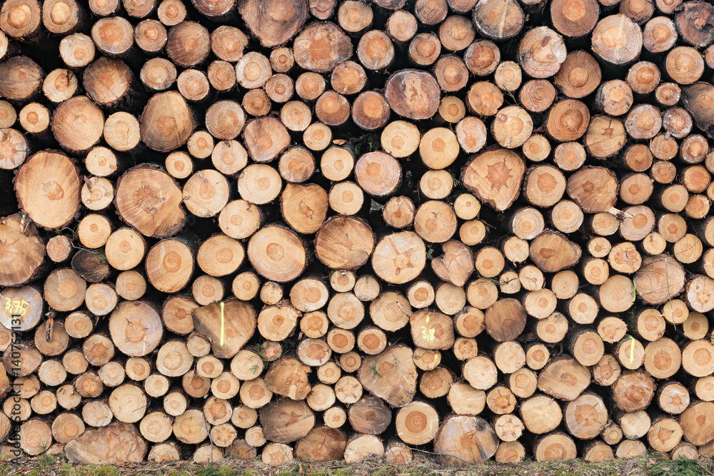 Photo of a pile of natural wooden logs Photo of a pile of natural wooden logs