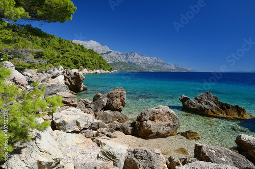 Картината върху платно Beautiful croatian coast