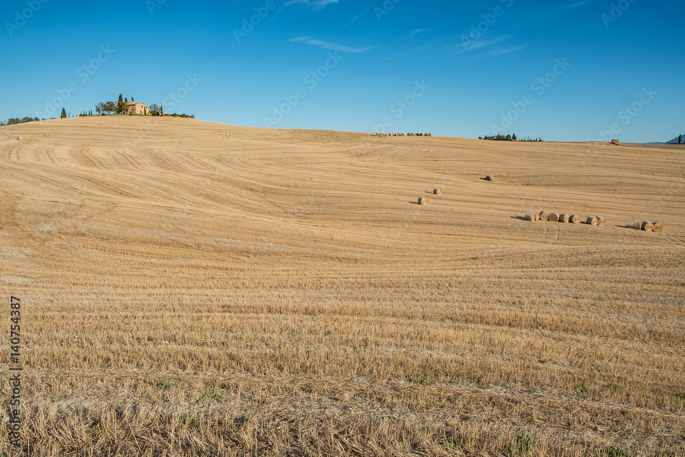 Obraz premium Lonely Cottage in San Quirico d'Orcia (Siena)