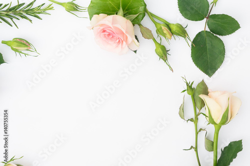 Garden fresh rose flowers and leaves border on white background