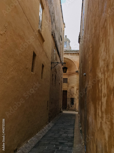 Medieval city Medina in Malta © vytautas