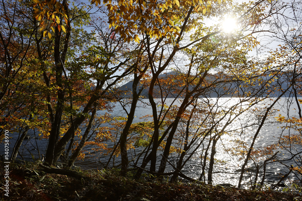 Fototapeta premium 中禅寺湖