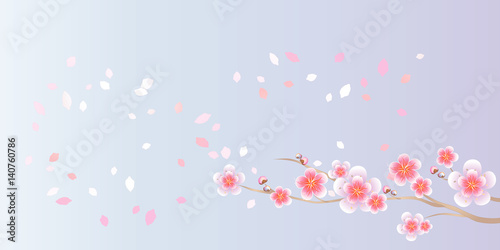 Branches of Sakura and petals flying isolated on light violet background. Apple-tree flowers. Cherry blossom. Vector 