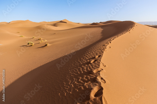 Landscape of Sahara desert in Morocco