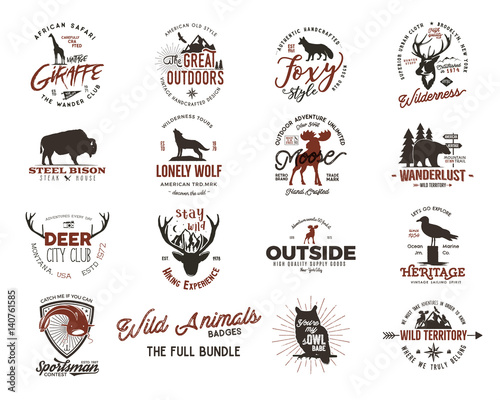 Wild animal badges set. Included giraffe, owl, fox and deer and other shapes. Full set. Stock vector isolated on white background