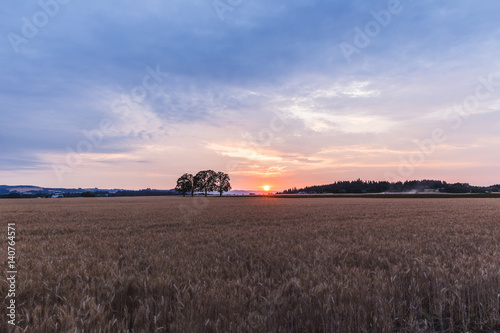 Colorful Sunset in Rural Farm Land photo