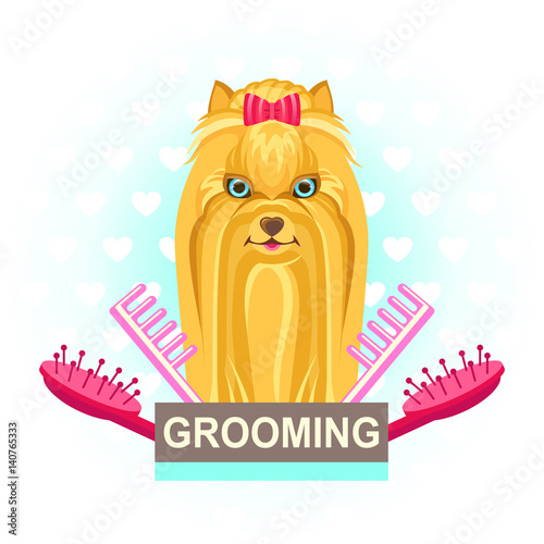 Vector colorful illustration of a cute little dog for grooming shop