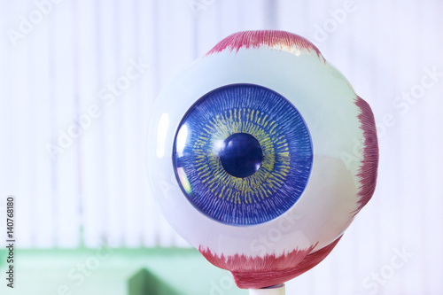 Ophthalmology oculus sample closeup. Ophthalmology, eye model close-up. Eyeball photo