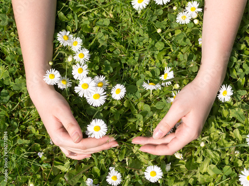Fotografia Girls hands embracing a green grass carpet with white flowers