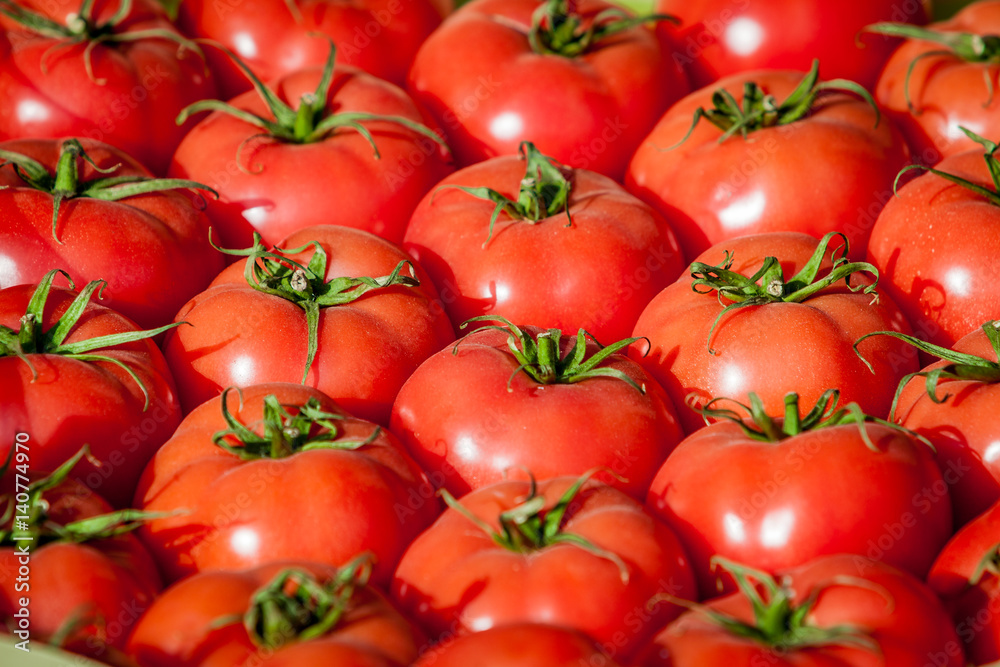 fresh tomatoes. tomatoes background. Group of tomatoes fresh tomatoes. tomatoes background. Group of tomatoes