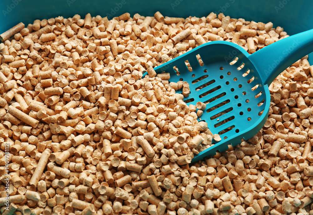 Obraz premium Plastic scoop on cat litter background