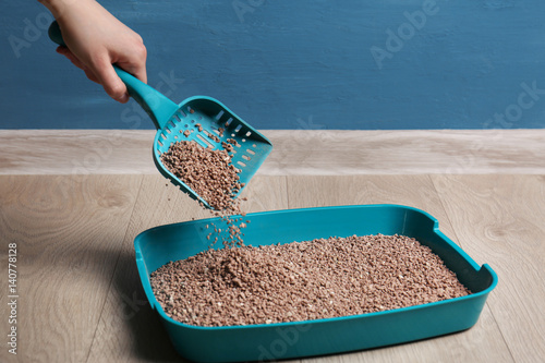 Fototapeta Naklejka Na Ścianę i Meble -  Woman cleaning litter box with scoop on floor