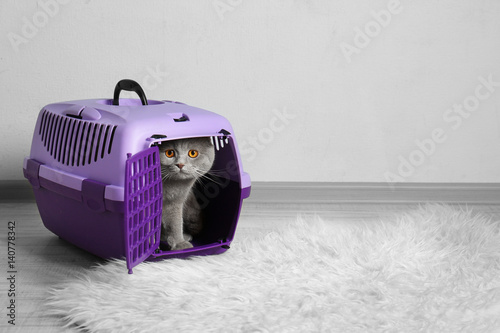 Fototapeta Naklejka Na Ścianę i Meble -  Cute funny cat in plastic carrier on the floor