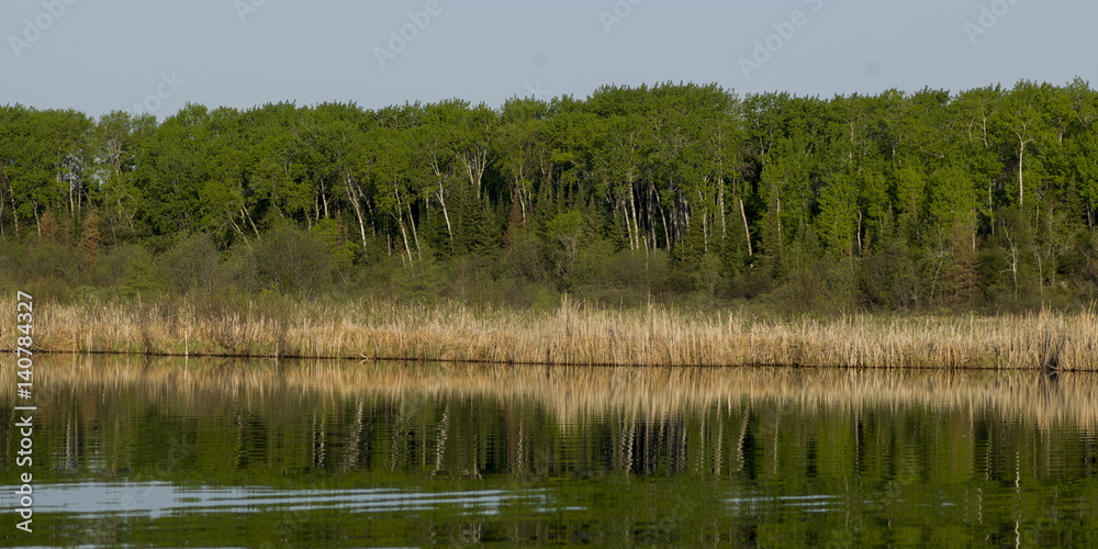 Lake of the Woods, Ontario, Canada