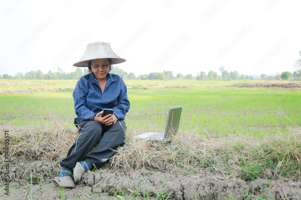 Asian Thai farmer using smartphone and laptop computer in the rice field Asian Thai farmer using smartphone and laptop computer in the rice field