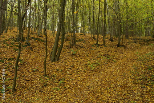 Kazimierski Park Krajobrazowy. photo