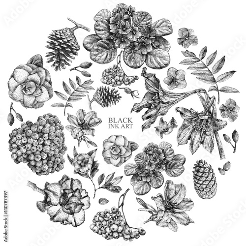 Set of different spring flowers and plants drawn by hand with black ink. .Graphic drawing, pointillism technique. Place for text. Set of floral elements to .create compositions.