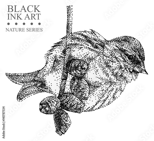 Illustration with bird redpoll drawn by hand with black ink. Graphic drawing, pointillism technique. Floral element for design. photo