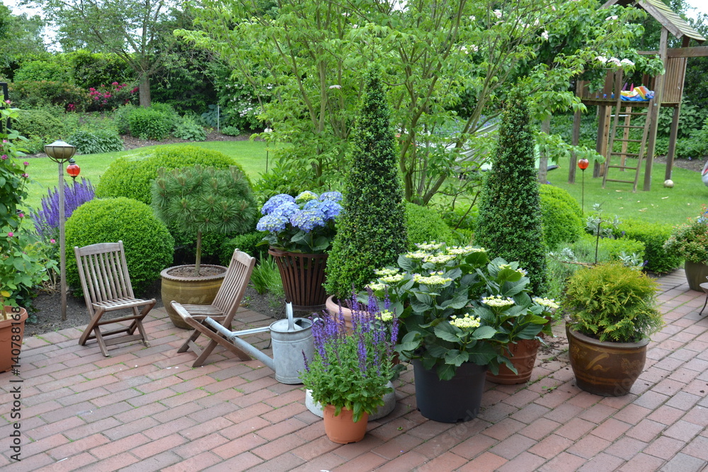 Terrasse mit Buchsbaum Kegeln und Hortensien Stock 写真 Adobe Stock