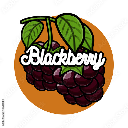 Color vintage fruit emblem