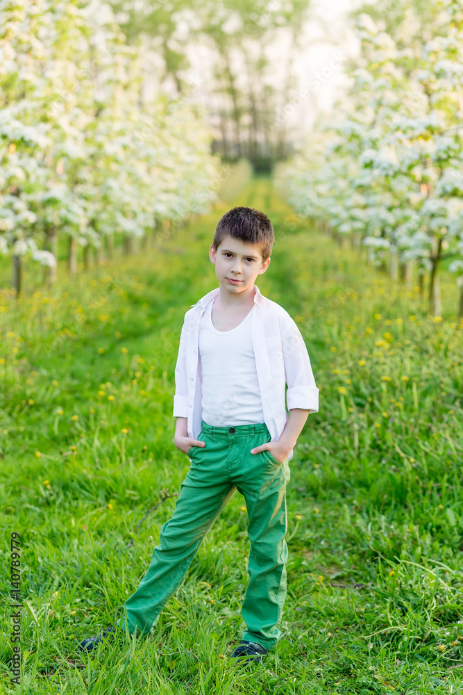 Beautiful little boy in a blooming garden in the spring.