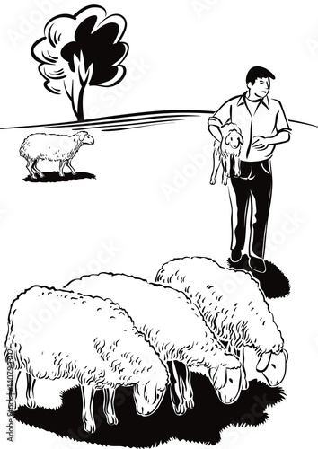 Flock of sheep and shepherd with a lamb in her arms.