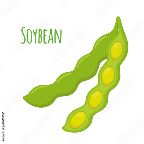 Soybean, vegetarian food. Organic vegetable, healthy bean. Cartoon flat style.