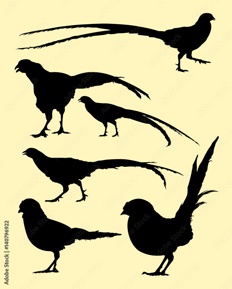 Fototapeta premium Pheasant birds animal silhouette. Good use for symbol, logo, mascot, web icon, sign, or any design you want.