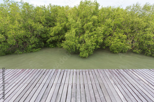 Wood bridge in mangrove forest for background. © boonroong